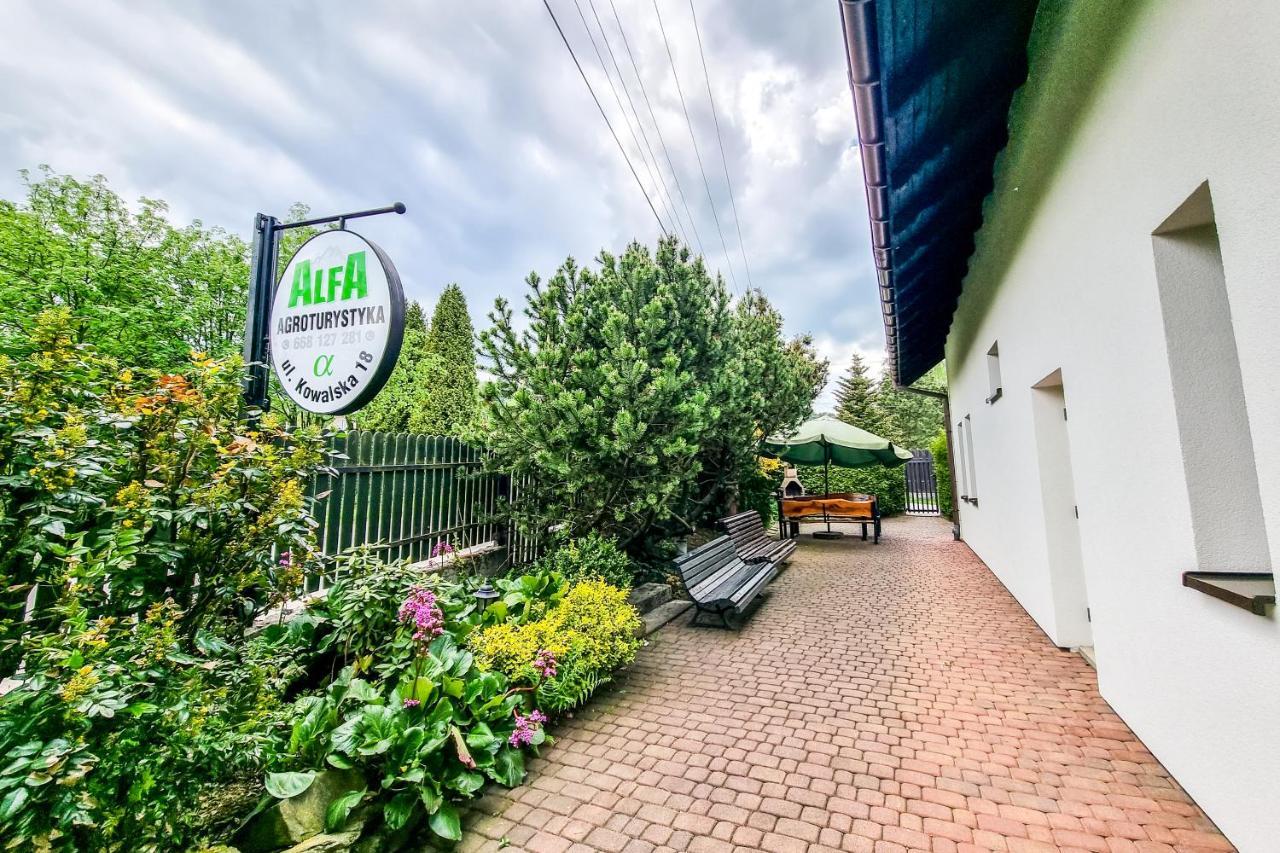 Agroturystyka Alfa Bystra  Buitenkant foto