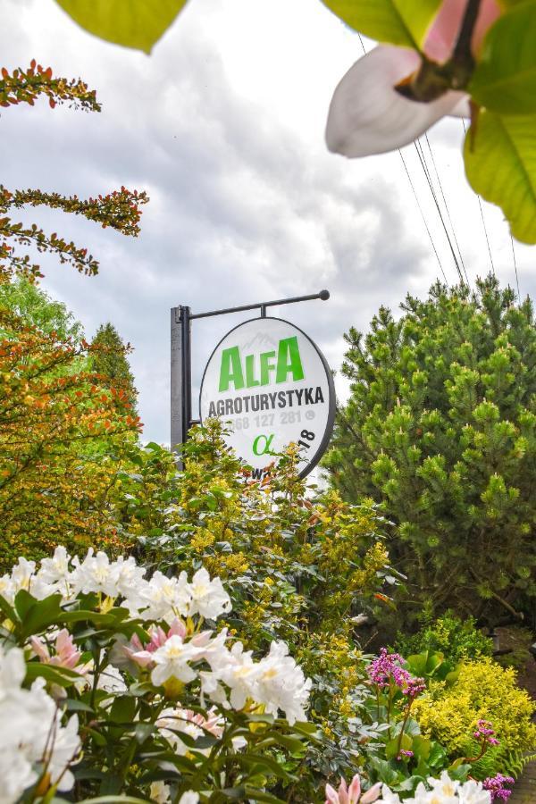 Agroturystyka Alfa Bystra  Buitenkant foto