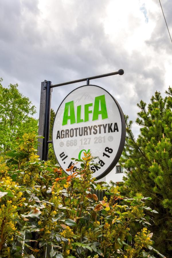 Agroturystyka Alfa Bystra  Buitenkant foto