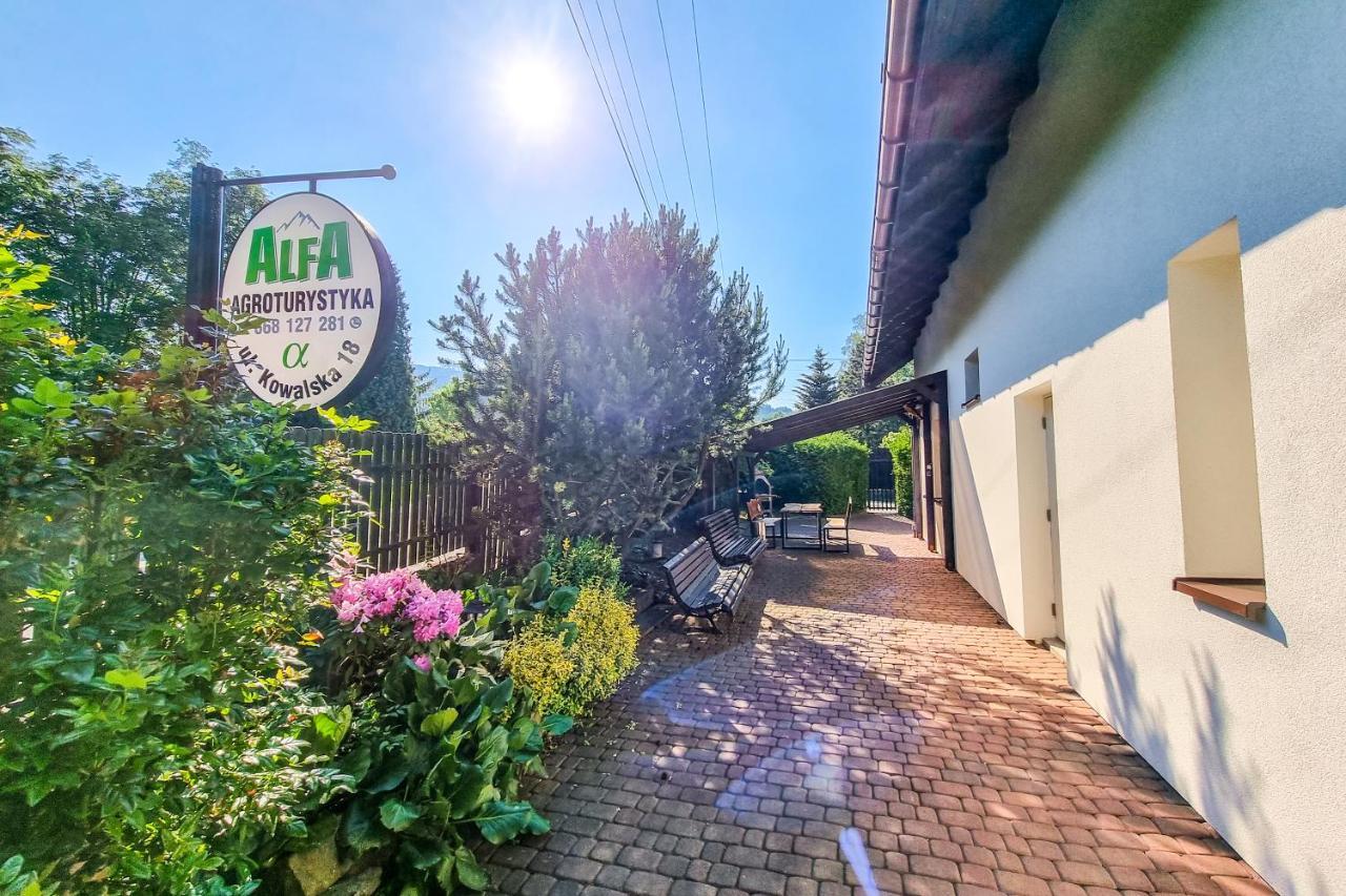 Agroturystyka Alfa Bystra  Buitenkant foto